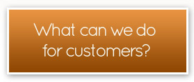 what can we do for domestic customers?