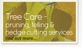 Tree Care Services - find out more